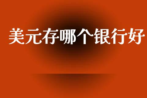 美元存哪个银行好_https://cj002.lansai.wang_期货问答_第1张