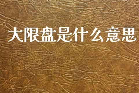 大限盘是什么意思_https://cj002.lansai.wang_期货问答_第1张