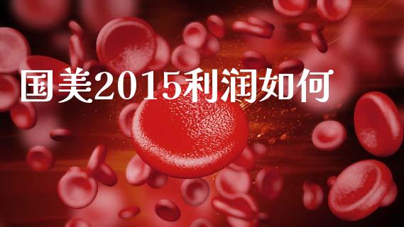国美2015利润如何_https://cj002.lansai.wang_理财问答_第1张