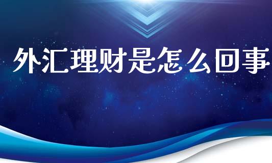 外汇理财是怎么回事_会计问答_第1张_财经百问网 外汇理财是怎么回事_https://cj002.lansai.wang_会计问答_第1张