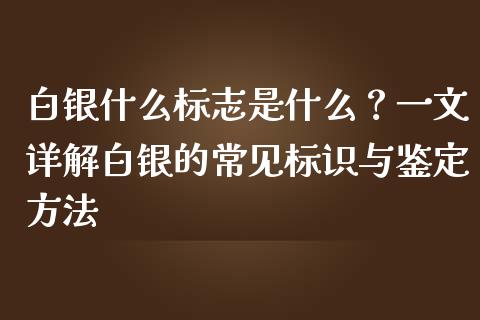 白银什么标志是什么？一文详解白银的常见标识与鉴定方法_https://cj002.lansai.wang_会计问答_第1张