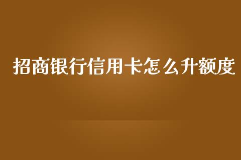 招商银行信用卡怎么升额度_https://cj002.lansai.wang_金融问答_第1张