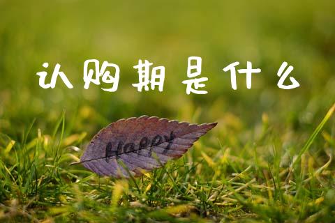 认购期是什么_https://cj002.lansai.wang_期货问答_第1张
