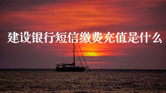 建设银行短信缴费充值是什么_https://cj002.lansai.wang_财经百问_第1张