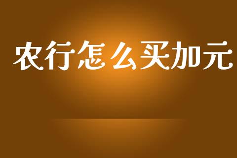 农行怎么买加元_https://cj002.lansai.wang_财经问答_第1张