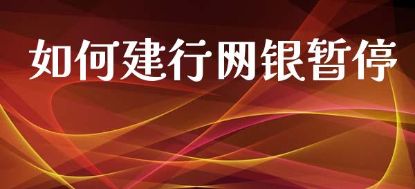 如何建行网银暂停_https://cj002.lansai.wang_期货问答_第1张