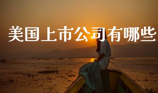 美国上市公司有哪些_https://cj002.lansai.wang_财经百问_第1张