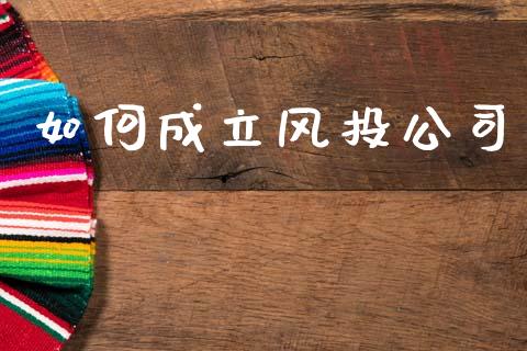 如何成立风投公司_https://cj002.lansai.wang_财经百问_第1张