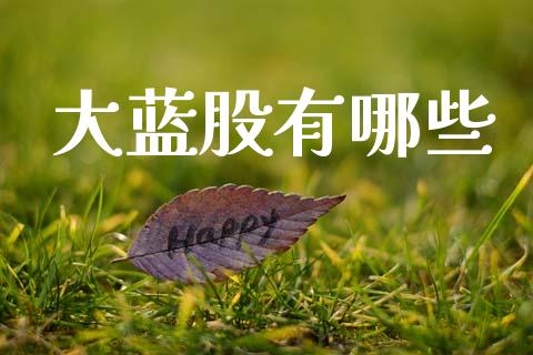 大蓝股有哪些_https://cj002.lansai.wang_财经问答_第1张