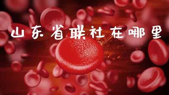 山东省联社在哪里_https://cj002.lansai.wang_理财问答_第1张