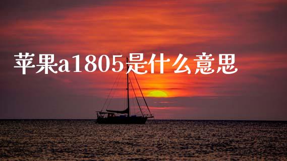 苹果a1805是什么意思_https://cj002.lansai.wang_财经百问_第1张