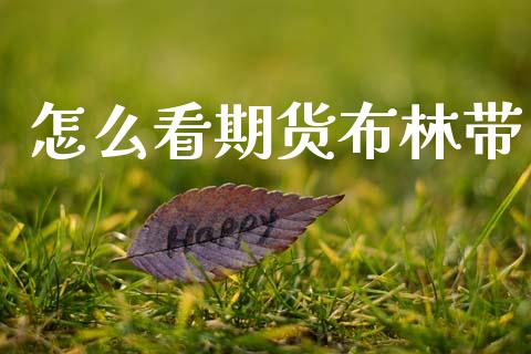怎么看期货布林带_https://cj002.lansai.wang_财经问答_第1张