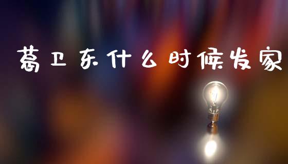 葛卫东什么时候发家_https://cj002.lansai.wang_期货问答_第1张