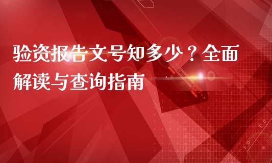 验资报告文号知多少？全面解读与查询指南_https://cj002.lansai.wang_财经问答_第1张
