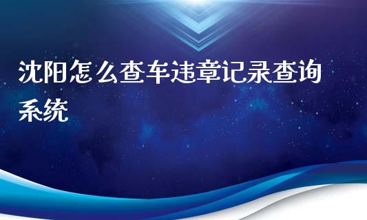 沈阳怎么查车违章记录查询系统_https://cj002.lansai.wang_保险问答_第1张
