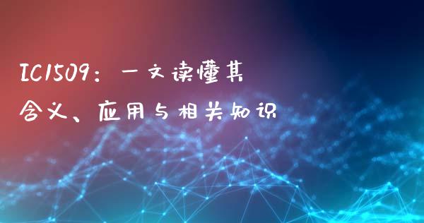 IC1509：一文读懂其含义、应用与相关知识_https://cj002.lansai.wang_会计问答_第1张