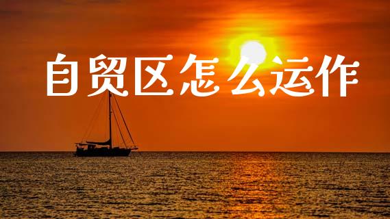 自贸区怎么运作_https://cj002.lansai.wang_财经问答_第1张
