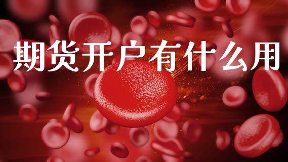 期货开户有什么用_https://cj002.lansai.wang_金融问答_第1张