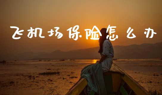 飞机场保险怎么办_https://cj002.lansai.wang_保险问答_第1张