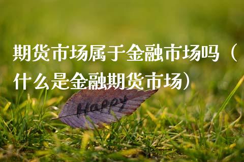 期货市场属于金融市场吗（什么是金融期货市场）_https://cj002.lansai.wang_期货问答_第1张