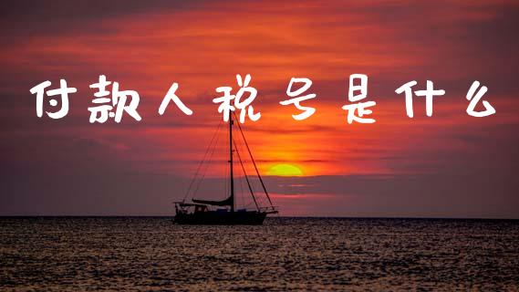 付款人税号是什么_https://cj002.lansai.wang_会计问答_第1张