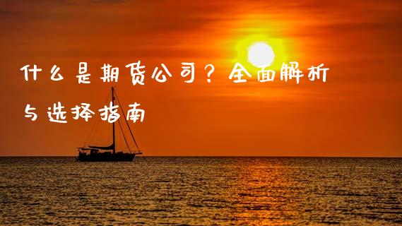 什么是期货公司？全面解析与选择指南_https://cj002.lansai.wang_期货问答_第1张