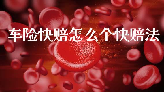 车险快赔怎么个快赔法_https://cj002.lansai.wang_保险问答_第1张