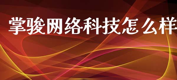 掌骏网络科技怎么样_https://cj002.lansai.wang_股市问答_第1张