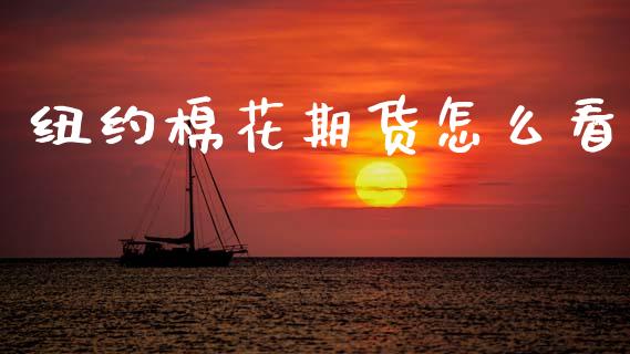 纽约棉花期货怎么看_https://cj002.lansai.wang_期货问答_第1张