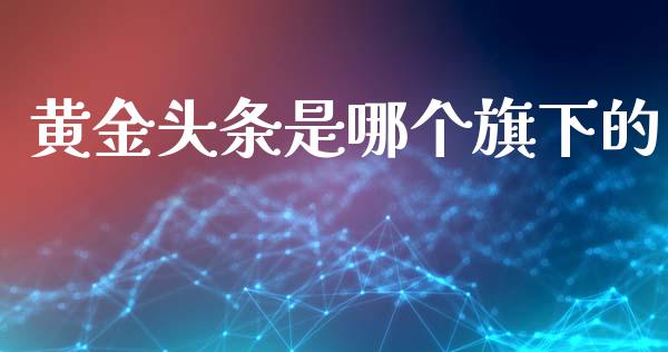 黄金头条是哪个旗下的_https://cj002.lansai.wang_财经问答_第1张