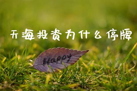 天海投资为什么停牌_https://cj002.lansai.wang_金融问答_第1张