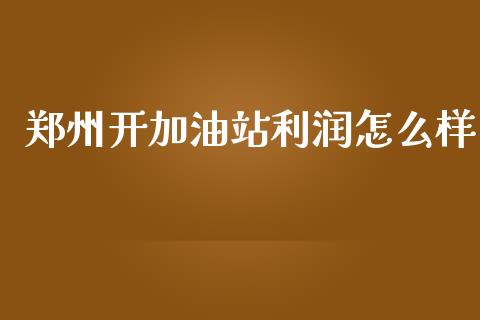 郑州开加油站利润怎么样_https://cj002.lansai.wang_财经问答_第1张