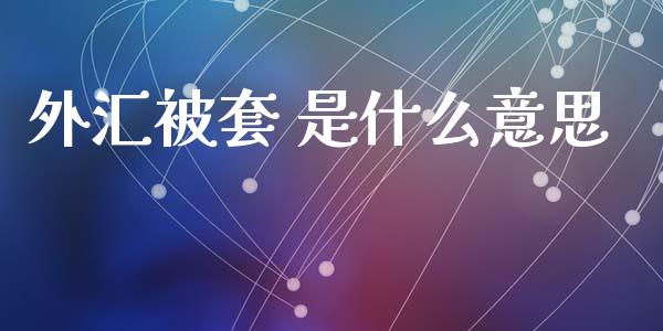 外汇被套 是什么意思_https://cj002.lansai.wang_财经问答_第1张