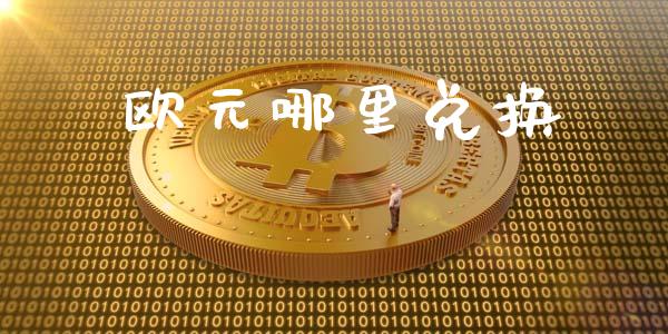 欧元哪里兑换_https://cj002.lansai.wang_财经问答_第1张