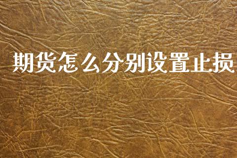 期货怎么分别设置止损_https://cj002.lansai.wang_期货问答_第1张