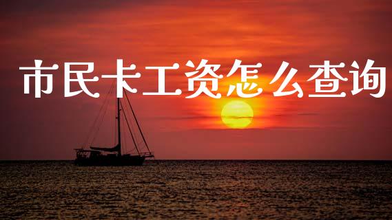 市民卡工资怎么查询_https://cj002.lansai.wang_保险问答_第1张