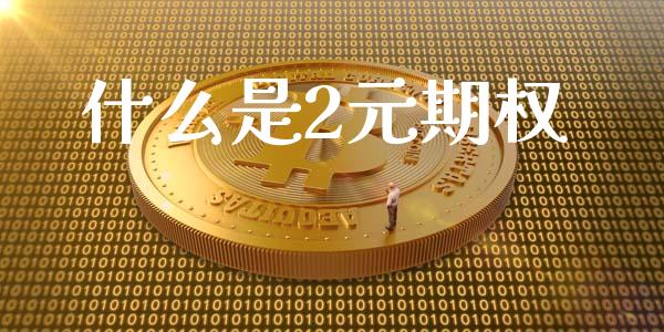 什么是2元期权_https://cj002.lansai.wang_财经问答_第1张