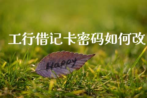 工行借记卡密码如何改_https://cj002.lansai.wang_财经百问_第1张