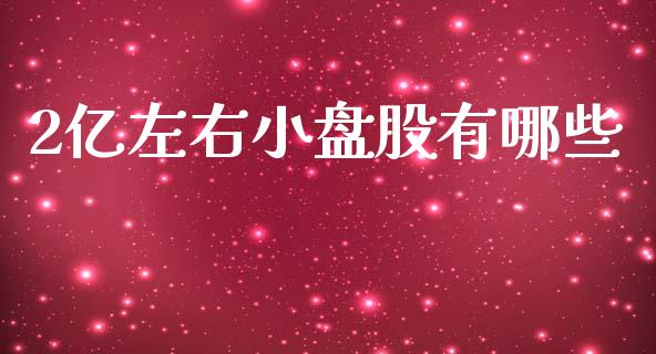 2亿左右小盘股有哪些_金融问答_第1张_财经百问网 2亿左右小盘股有哪些_https://cj002.lansai.wang_金融问答_第1张