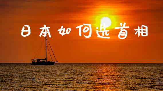 日本如何选首相_https://cj002.lansai.wang_理财问答_第1张