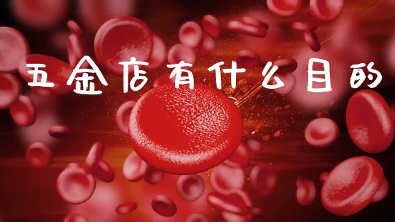 五金店有什么目的_https://cj002.lansai.wang_理财问答_第1张