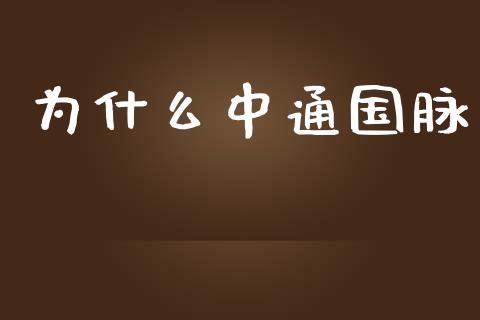 为什么中通国脉_https://cj002.lansai.wang_保险问答_第1张