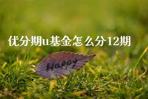 优分期u基金怎么分12期_https://cj002.lansai.wang_会计问答_第1张