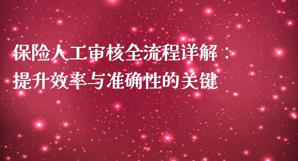 保险人工审核全流程详解：提升效率与准确性的关键_https://cj002.lansai.wang_股市问答_第1张