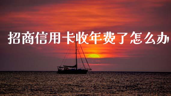 招商信用卡收年费了怎么办_https://cj002.lansai.wang_金融问答_第1张