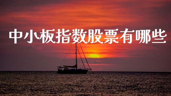 中小板指数股票有哪些_https://cj002.lansai.wang_财经问答_第1张