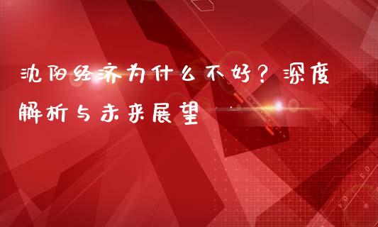 沈阳经济为什么不好？深度解析与未来展望_https://cj002.lansai.wang_期货问答_第1张