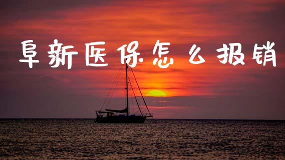 阜新医保怎么报销_https://cj002.lansai.wang_保险问答_第1张