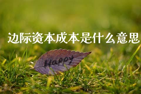 边际资本成本是什么意思_https://cj002.lansai.wang_会计问答_第1张