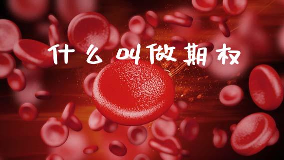什么叫做期权_https://cj002.lansai.wang_金融问答_第1张